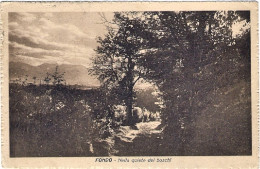 1923-cartolina Fondo Val Di Non Trentino "nella Quiete Dei Boschi" Affrancata 5c - Trento