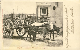 1909-Napoli (costumi) Un Carro Da Trasporto, Cartolina Viaggiata - Napoli (Napels)