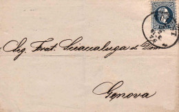 1876-Austria Lettera Diretta A Genova Affr. 10kr.azzurro - Sonstige & Ohne Zuordnung
