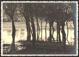 Abstract Nature River Woods Scene Old Photo 10x14 Cm #40485 - Anonyme Personen