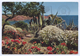 Côte D'Azur, Jardin Fleuri (lt 10) - Other & Unclassified