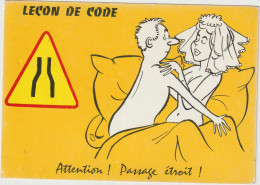 LD61 : Illustrateur  ,humour :  Leçon De  Code , Danger - Humour