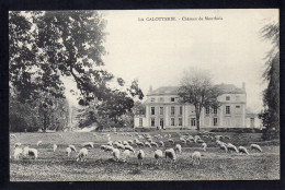 62 LA CALOTTERIE - Chateau De Monthuis - Other & Unclassified