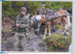 Hochfilzen - International Seciality Training Center ISTC - Alpine Sniper Course - Haflinger - Manoeuvres