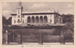 Tunis, Le Belvédère, Le Casino - Tunisia