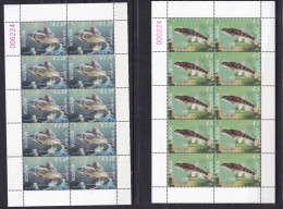 KOSOVO 2024,EUROPA CEPT ,UNDERWATER FAUNA AND FLORA,,FISHES,SHEET,MNH - Kosovo