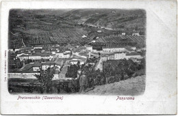 1900circa-Arezzo Pratovecchio (Casentino) Panorama - Arezzo