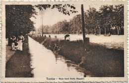 1916-Treviso Viale Fuori Porta Mazzini, Viaggiata - Treviso