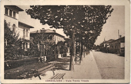 1921-Treviso Conegliano Viale Trento E Trieste, Viaggiata Francobolli Asportati - Treviso