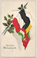 1916-cartolina Con Bandiere Dei Vari Paesi Alleati Die Besten Weihmachtsgrusse,  - Heimat