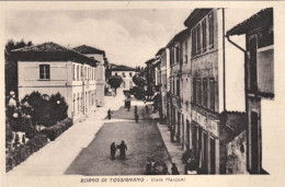 1920-ca.-Borgo Di Tossignano Bologna, Viale Marconi, Animata, Non Viaggiata - Bologna