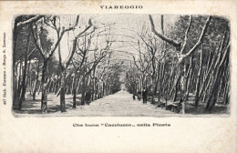 1904-ca.-Viareggio "Che Buon Cacciucco" Nella Pineta - Viareggio