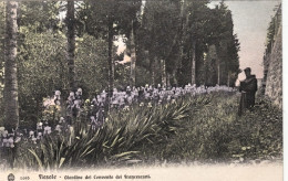 1920-ca.-Fiesole Firenze, Francescano Nel Giardino Del Convento - Firenze