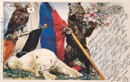 1900-Germania Cartolina Propagandistica Bilingue Russo Francese Viaggiata - Autres & Non Classés