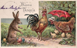 1900circa-Buona Pasqua Lepre E Galline, Cartolina Augurale Viaggiate - Ostern