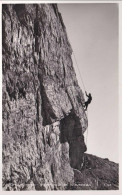 1950ca-Cortina D'Ampezzo Cinque Torri Particolare Di Discesa Alpinistica - Belluno
