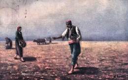 1920ca.-Armenia Sowing Corn (village Life), Cartolina Viaggiata - Bauern
