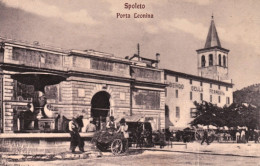 1920ca.Spoleto, Perugia, Porta Leonina, Animata, Non Viaggiata - Perugia