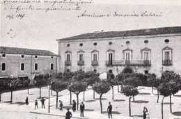 1907-Castrovillari, Cosenza, Veduta Piazza Vittorio Emanuele II, Animata, Viaggi - Cosenza