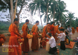 CPM - LAOS - Buddhisms Give Alms To Monks At Early Morning ... Edition TDN - Laos