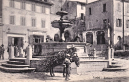 1925ca.-Assisi, Perugia, Fontana, Animata E Non Viaggiata - Perugia