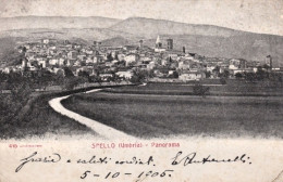 1905-Spello, Perugia, Panorama, Viaggiata - Perugia