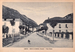 1948-Creto, Pieve Di Bono, Trento, Veduta Di Viale Roma, Viaggiata - Trento