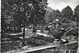 1953-Brescia Termini Di Boario Valle Camonica Un Aspetto Del Parco Delle Terme - Brescia