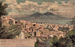 1904ca.-Napoli, Vista Del Vesuvio Da Bertolini Palace Hotel, Viaggiata - Napoli (Napels)