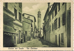 1955-Treviso Cavaso Del Tomba Via Caniezza - Treviso