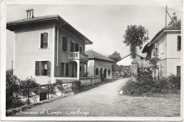 1956-Torino S.Francesco Al Campo-Capoluogo - Autres & Non Classés