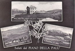 1955circa-Bergamo Saluti Dal Piano Della Palù Presolana E Rifugio Magnolini - Bergamo