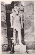 1950circa-Egitto Tempio Di Luxor - Other & Unclassified