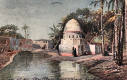 1910-Egitto Abitazioni Sulla Riva Del Fiume Nilo, Cartolina Viaggiata - Andere & Zonder Classificatie