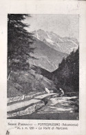 1911-Brescia Pontedalegno (Valcamonica) La Valle Di Narcane, Cartolina Viaggiata - Brescia