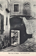 1917-Lucca Una Via Di Barga - Lucca