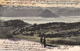 1904-Svizzera Rigi Kulm Und Die Alpen, Cartolina Viaggiata - Altri & Non Classificati