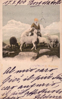 1898-In Montagna Pastore Con Gregge, Cartolina Viaggiata - Andere & Zonder Classificatie