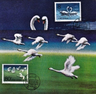 1983-Cina China T83, Scott 1886-89, Swans Maximum Cards - Brieven En Documenten