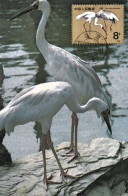 1986-Cina China T110, Scott 2033-35 White Crane Maximum Cards - Covers & Documents