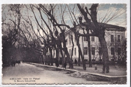 1929-Avellino Viale Dei Platani R.Scuola Industriale, Viaggiata - Avellino