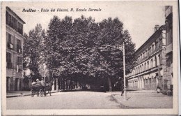 1924-Avellino Viale Dei Platani R.scuola Normale, Viaggiata - Avellino