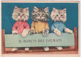 1940-tre Gattini (il Banco Dei Giurati) Viaggiata - Cats