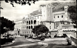 CPA Monaco, Prinzlicher Palast, Denkmal Prince  Albert I. - Autres & Non Classés
