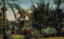 CPA Monte Carlo Monaco, Garten, Kakteen, Palmen - Other & Unclassified