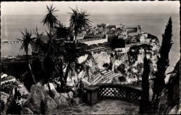 CPA Monte Carlo Monaco, Felsen Vom Exotischen Garten Gesehen - Other & Unclassified