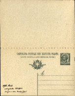 1908-cartolina Postale 5c.+10c. Leoni Bilingue Con Millessimo 10 , Scrittura Des - Stamped Stationery
