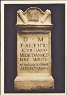 1937-cartolina Raffigurante Il Cippo Del Medico P.Elio Curzano Presso Il Museo B - Museum