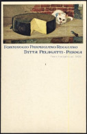 1930circa-pubblicitaria Formaggio Parmigiano Reggiano. Ditta Pelagatti-Parma - Werbepostkarten