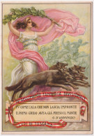 1940-78^ Reggimento Fanteria Divisionale Lupi Di Toscana - Régiments